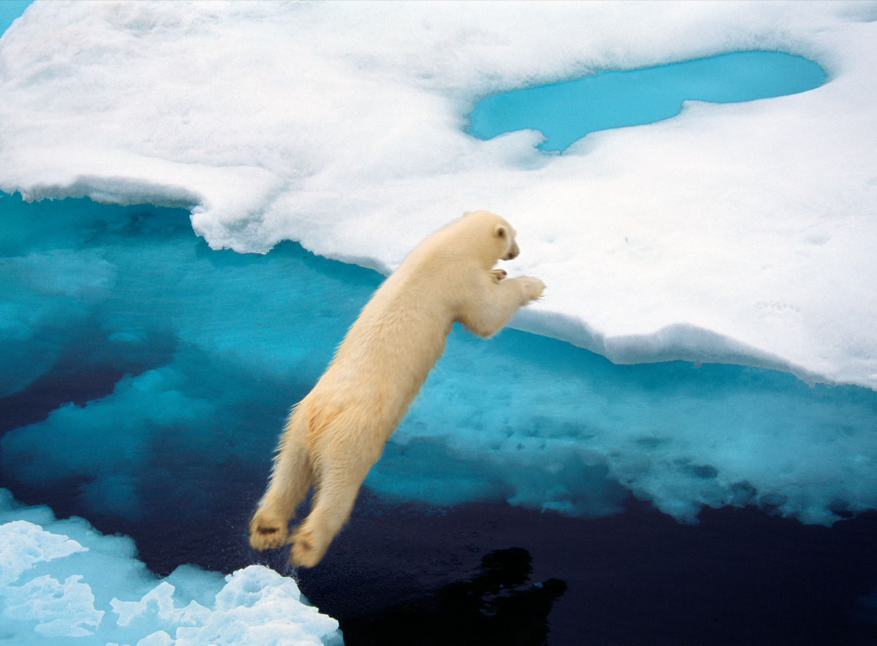 Ральф Ли Хопкинс: фотограф экспедиций National Geographic