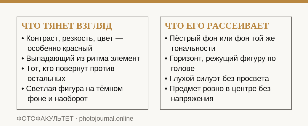Что в композиции притягивает взгляд зрителя и что его рассеивает, по лекции Беленького