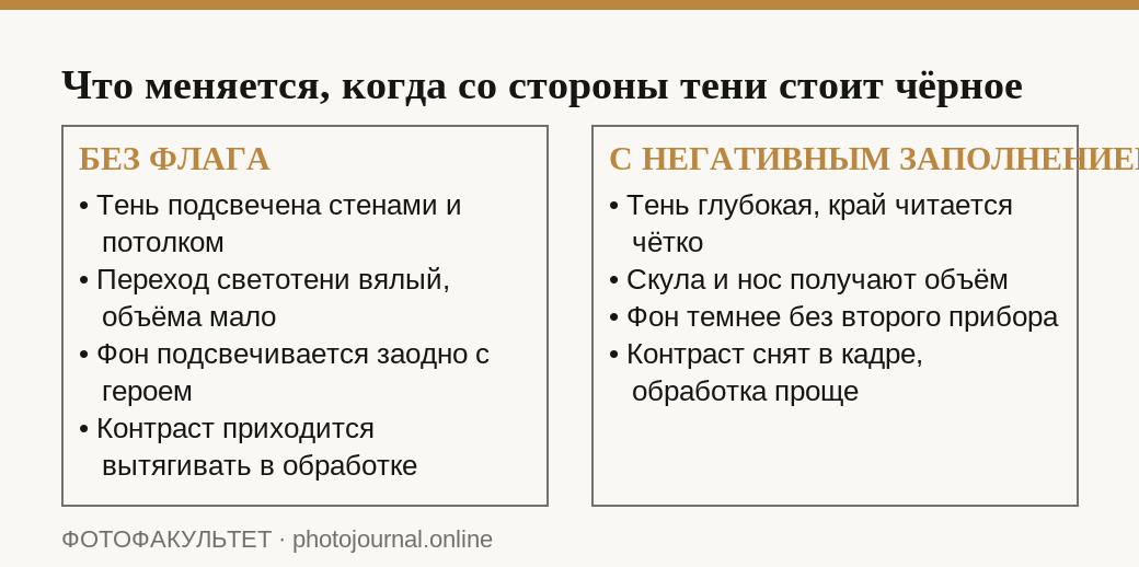 Сравнение портрета без чёрного флага и с негативным заполнением со стороны тени