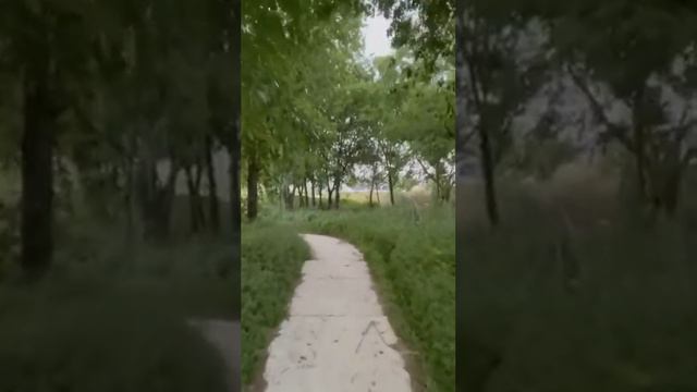 Кадр из видео: Новый курс Мобильный видеограф от Легендарного Фотофакулььета